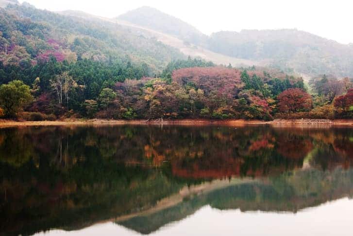 "한국에 이런 저수지가 있다니..가을에 가면 정말 이뻐요" 용의 형상을 닮은 저수지 용비지