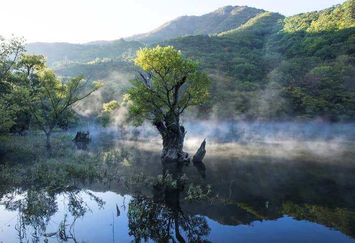 주산지