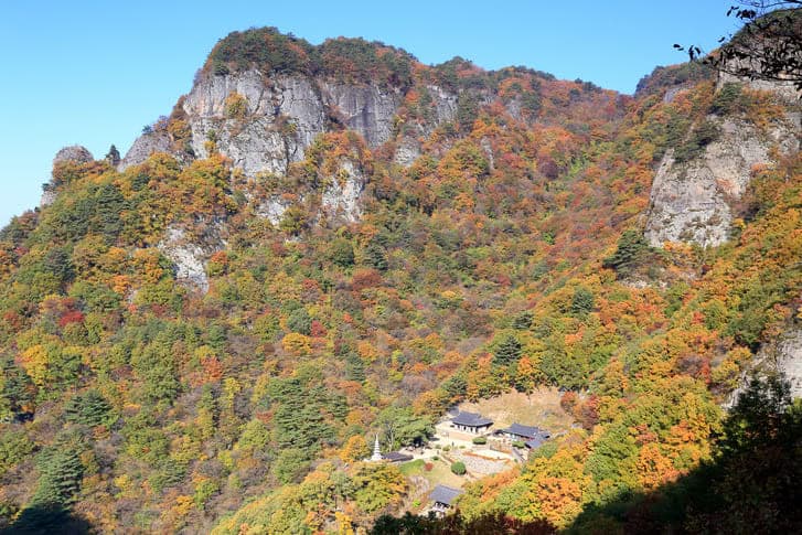 가을 단풍 트래킹 청량산