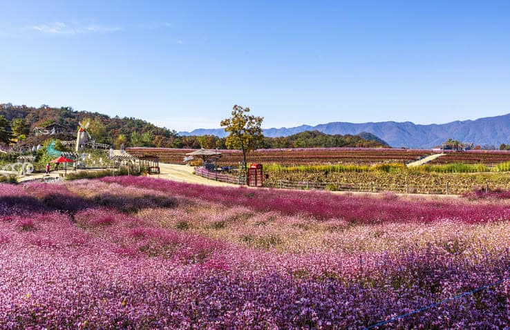 고석정