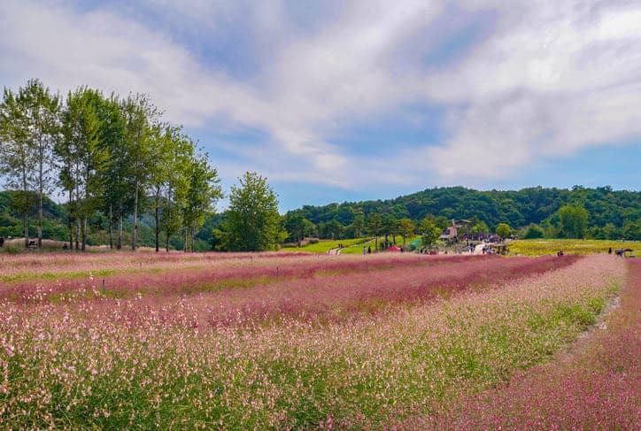 고석정