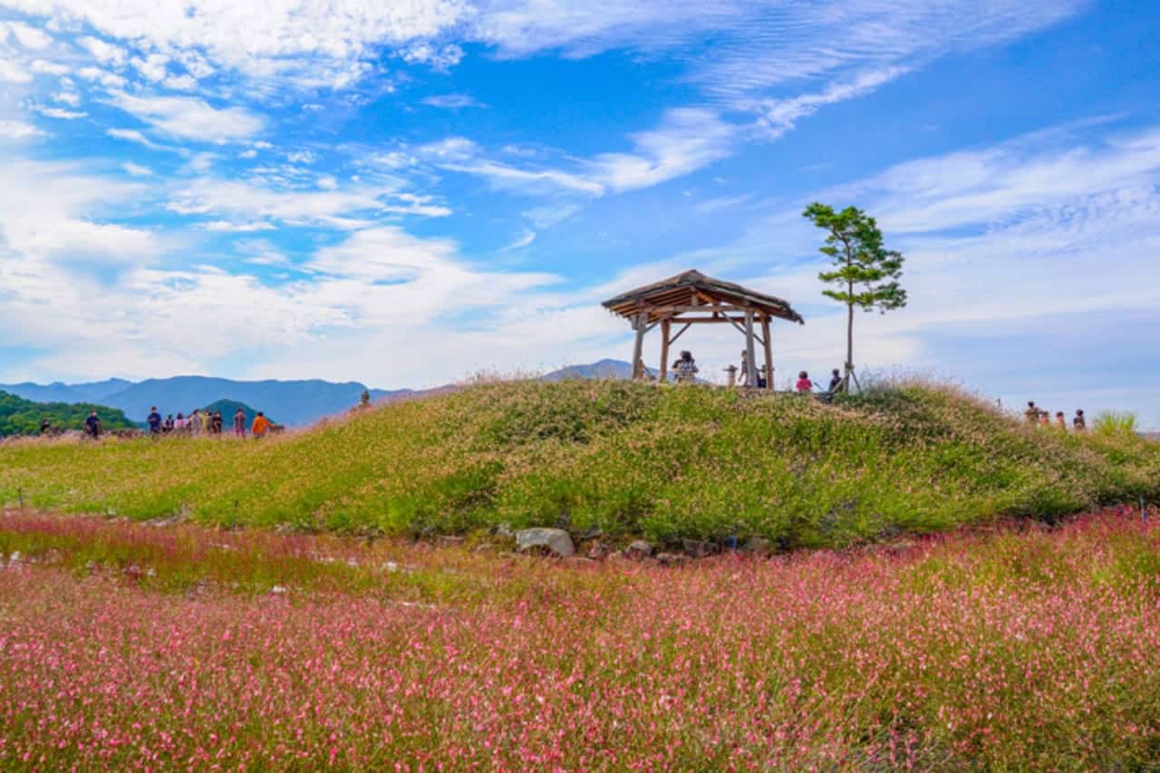 고석정