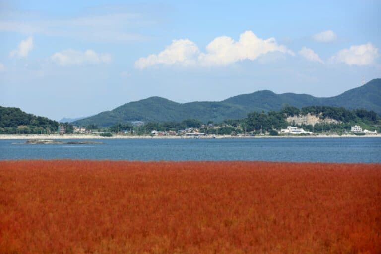 석모도