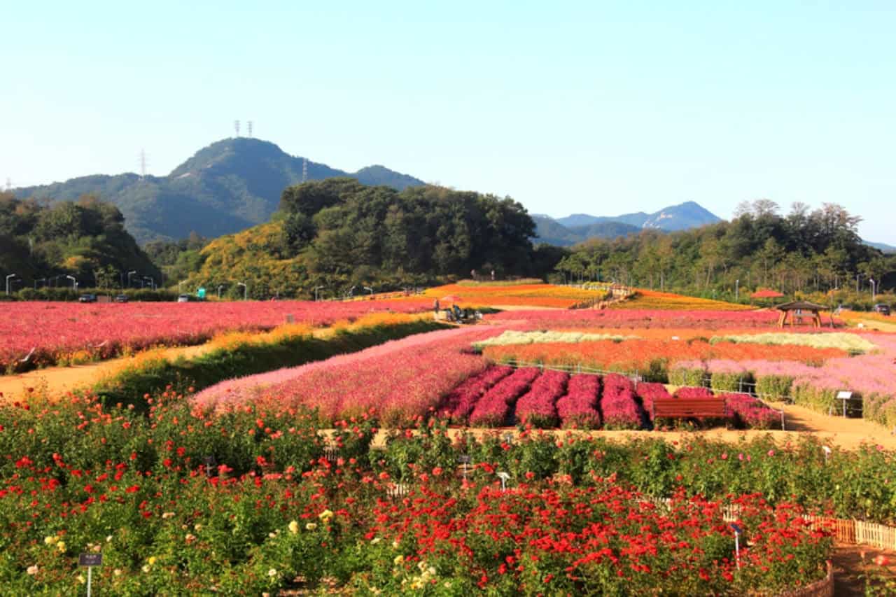 양주 나리공원