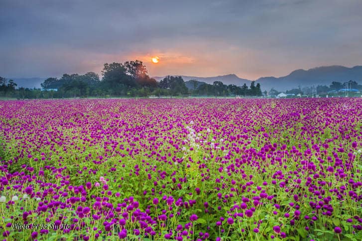 양주 나리공원