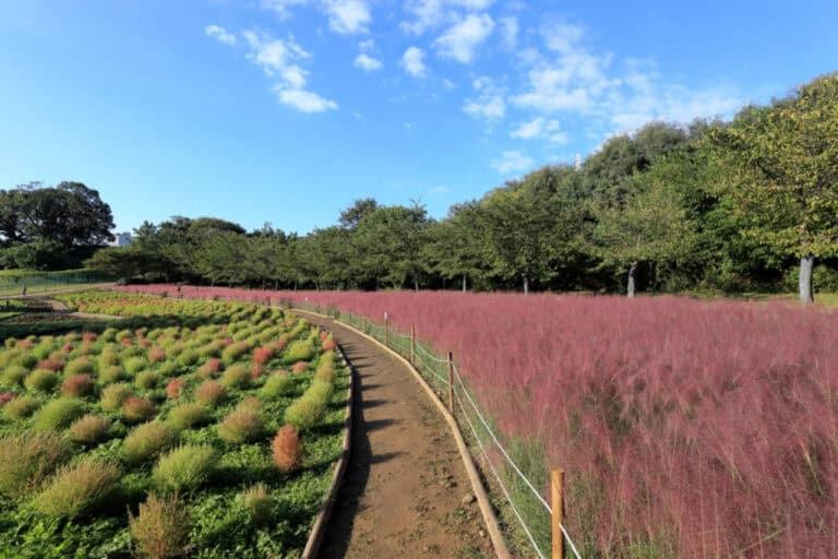 올림픽공원