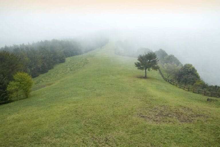 제주 산굼부리