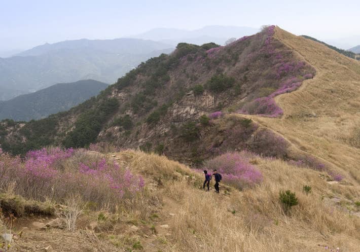 화왕산