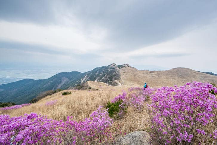 화왕산