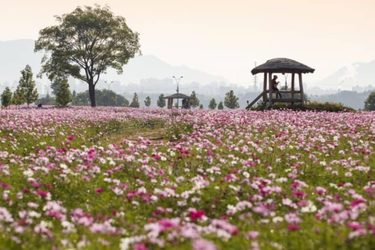 구리한강시민공원