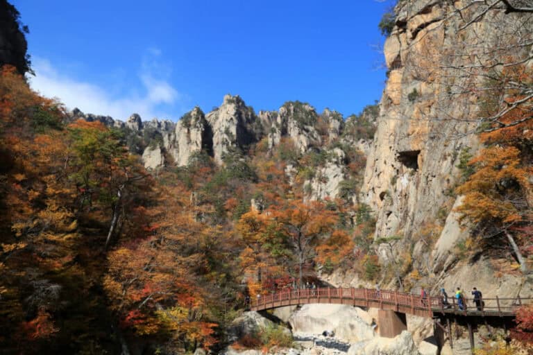 설악산 흘림골