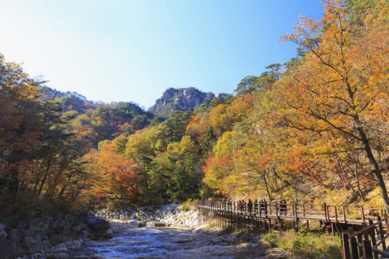 주전골