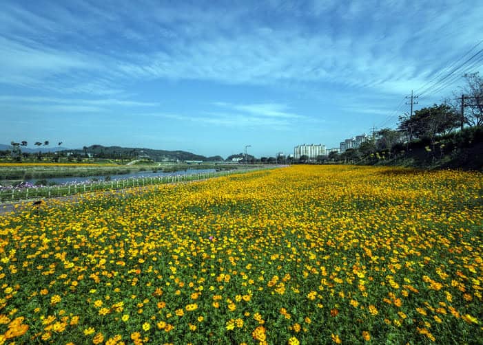 황룡강