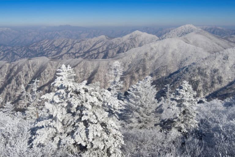 계방산 겨울 설경